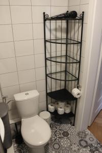 a bathroom with a toilet and a shelf with toiletries at Galicja Apartamenty in Rzeszów