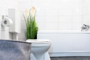 a bathroom with a toilet and a tub and a plant at Thome Hoia Studio 1Bedroom in Cluj-Napoca +19 photos