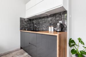 Kuchyňa alebo kuchynka v ubytovaní Apartament Nadia