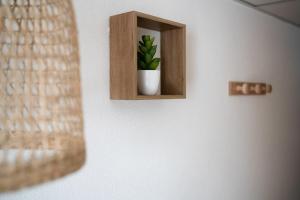 een plant in een houten plank op een muur bij Joli studio proche gare et centre ville in Lourdes