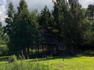 une petite maison au milieu des arbres dans l'établissement Laumių Nameliai, à Anykščiai