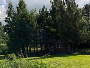 a small house in the middle of trees at Laumių Nameliai in Anykščiai