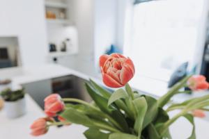 eine Vase mit einer roten Blume auf dem Tisch in der Unterkunft Stunning 5 bedroom period property by the sea in Kent