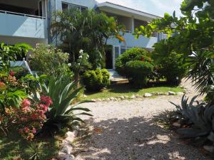 um jardim em frente a uma casa com plantas em Kas di BaMi A-186 op Seru Coral Resort - Ruim appartement met groot zwembad en tropische tuin em Willemstad