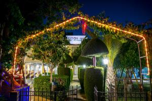 an arbor with christmas lights in a garden at night at Fitosinn Hotel in Paphos