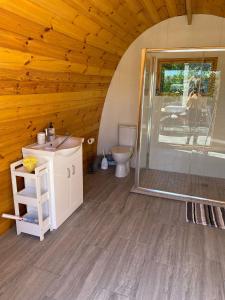 a bathroom with a shower and a sink and a toilet at A house and a half on Beara peninsula in Castletownbere