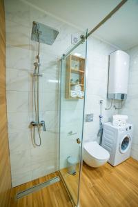 e bagno con doccia, servizi igienici e lavandino. di Kedar apartment a Novi Sad