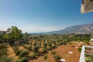 a field of olive trees with mountains in the background at Loutraki Getaway - Cozy and Quiet Nest in Loutraki