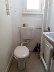 a small bathroom with a toilet and a sink at 6 people Vacation Apartment In The Black Forest in Villingen-Schwenningen