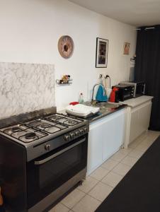 Een keuken of kitchenette bij Bel appartement en rez de chaussée
