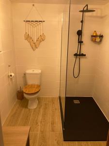 a bathroom with a shower with a toilet and a shower at Le Cosy Porgeais in Le Porge