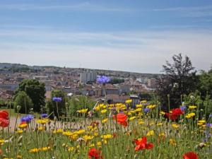 a field of flowers with a city in the background at Élégant Appart T3 à Épinal - Confort, Proche Gare TGV & Centre-ville - FR-1-589-92 in Épinal +9 photos