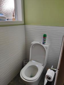 ein kleines Bad mit einem WC und einem Fenster in der Unterkunft Ruan Thai Bed and Coffee in Hamilton