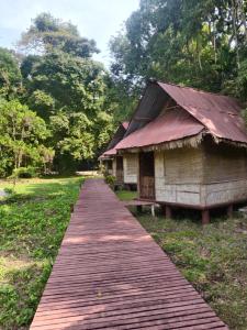 una pasarela de madera que conduce a un edificio con techo en The Forest Elephant - Formerly known as the Flying Elephant, en Isla Havelock 12 fotos más