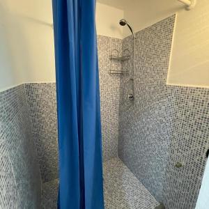 een douche met een blauw douchegordijn in de badkamer bij DOMUS LEPRARIUM in Leporano