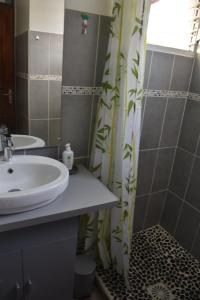 Vonios kambarys apgyvendinimo įstaigoje Gîte MAZUR