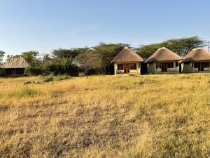 Gallery image of Olaloi Mara Camp in Masai Mara