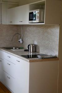 Žlutice的住宿－Autokemp Žlutice，厨房配有水槽和微波炉