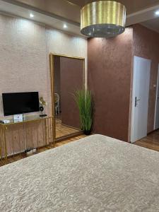 a large room with a large bed and a mirror at Studio apartman De Lux Loznica in Loznica +6 photos