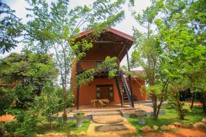 Gallery image of Jungle Hut Resort Sigiriya in Sigiriya