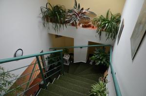 Galeriebild der Unterkunft Penzion Aura in Dvůr Králové nad Labem