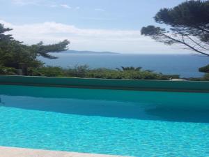 Naturlandskabet i nærheden af lejligheden + 10 billeder