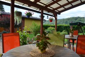 a table with a potted plant on a patio at Penzion Aura in Dvůr Králové nad Labem