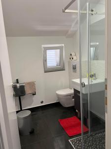 a bathroom with a shower and a toilet and a sink at Apartment Vodice - Lovric in Vodice +51 photos