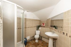 a bathroom with a toilet and a sink at Dream House Brasov in Braşov