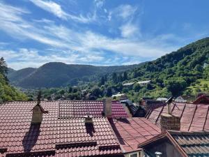 a group of roofs with mountains in the background at Rustic Residence Brasov in Braşov