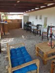 Eco Glamping with Pool between Nafplio and Argos في أرغوس: غرفة معيشة مع أريكة زرقاء وطاولة