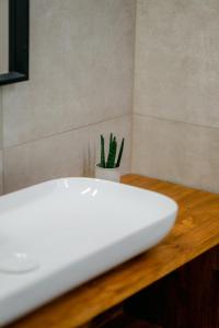 a white sink on a wooden counter with a cactus at Zen Sea in Alexandroupoli