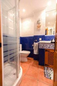 La salle de bains est pourvue d'une douche, de toilettes et d'un lavabo. dans l'établissement El apartamentín de Lastres, à Lastres