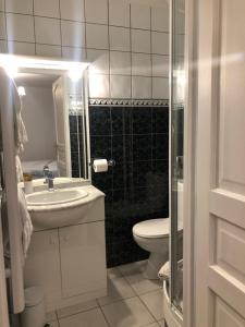 バニェール・ド・ビゴールにあるChalet des Palmiersのバスルーム(洗面台、トイレ、シャワー付)