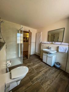 een badkamer met een wastafel, een toilet en een spiegel bij Altwernigeröder Apparthotel in Wernigerode