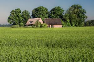 an old barn in the middle of a field at Wilmsboo in Nieuw-Schoonebeek