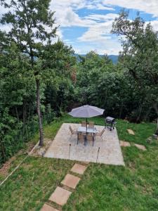 Vonkajšia záhrada v ubytovaní Forest House Balaton