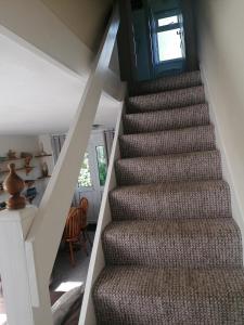 a stairway with a brown carpeted stair case at Le Chalet - 2 Bedroom Chalet House sleeps 3 in Pembrokeshire