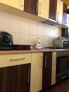 a kitchen with a counter with a toaster and a stove at Casa Elegant in Moieciu de Jos