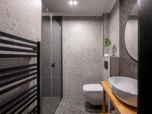 a bathroom with a sink and a toilet and a mirror at Apartamenty Klemensówka in Zakopane
