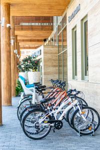 rząd rowerów zaparkowanych przed budynkiem w obiekcie Pangea Hotel w Nyíregyházie