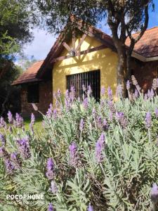 un jardín con flores púrpuras frente a una casa en Cabaña Los Pololos, en Villa Serrana