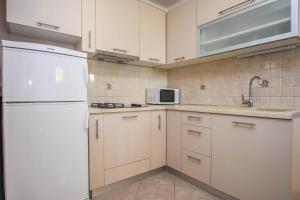 Küche/Küchenzeile in der Unterkunft Apartments Svarog