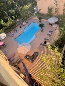 Draufsicht auf ein Schwimmbad mit Liegestühlen und Sonnenschirmen in der Unterkunft Logis Hotel Le Lonca in Porto Ota