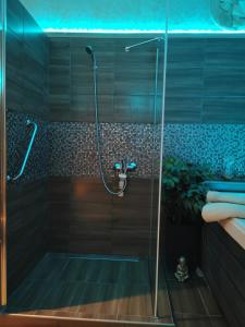 Kúpeľňa v ubytovaní Wellness Stodolni Ostrava