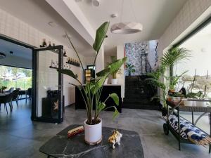 a living room with a potted plant on a table at Aparthotel PARADISE Dziwnówek in Dziwnówek