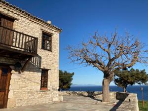 a tree next to a building with the ocean in the background at Aurora Apartment in Afitos