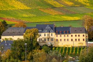 a large building in the middle of a vineyard at Schwalbennest auf dem Weingut Arthur Melsheimer in Maring-Noviand +10 photos