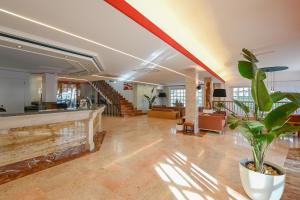 una sala de estar con una planta en una olla en Hotel Pinos Playa en Cala Santanyi