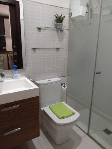 La salle de bains est pourvue de toilettes, d'un lavabo et d'une douche. dans l'établissement Loft BAINIS Peregrinos & Uso Turístico, à A Guarda